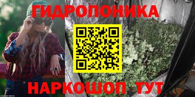 индика Азнакаево